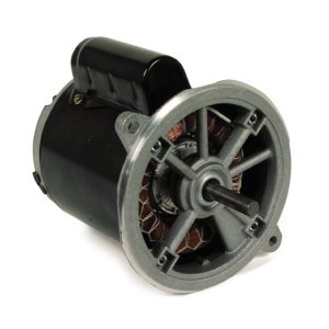 Wayne Burner Motor 240V